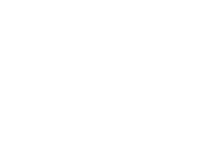 sfp logo 30 years